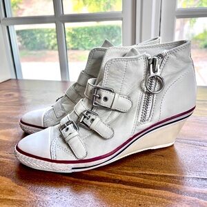 Limited Addition— ASH Wedge Leather Sneakers